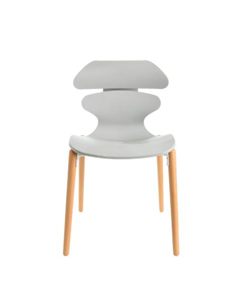 Plastic Chair