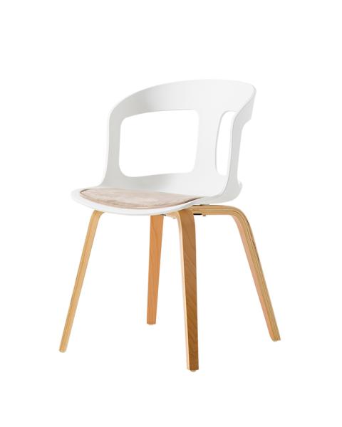 Plastic Chair